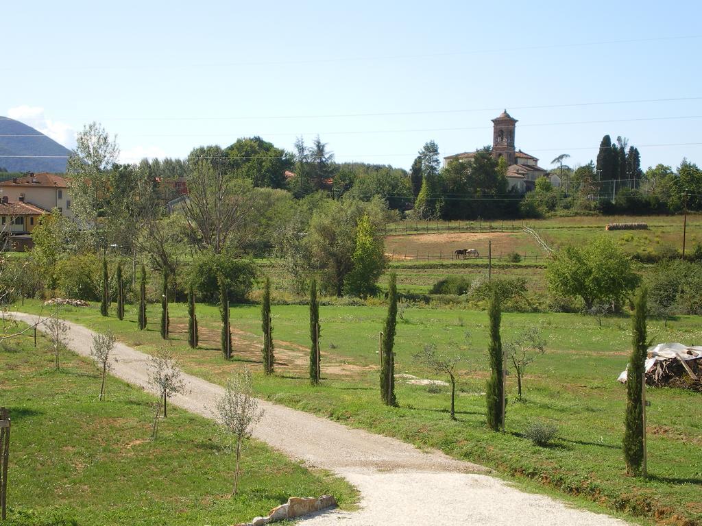 Agriturismo Ai Linchi Lucca Luaran gambar